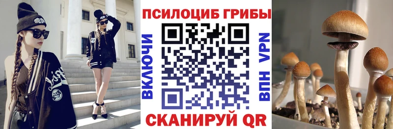 Галлюциногенные грибы мухоморы  Купить где  Усть-Джегута 